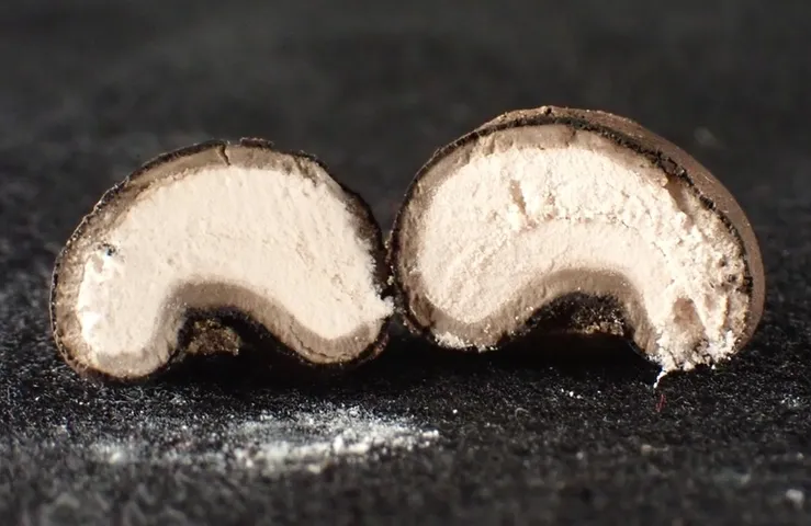 undefined (Elaphomyces spp.)