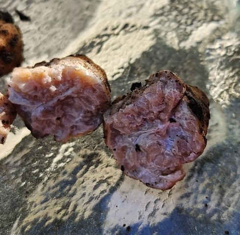 Truffles (Tuber sp.)