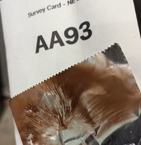 undefined (Agrocybe acericola)