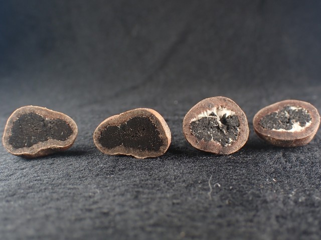 (Elaphomyces dalemurphyi)