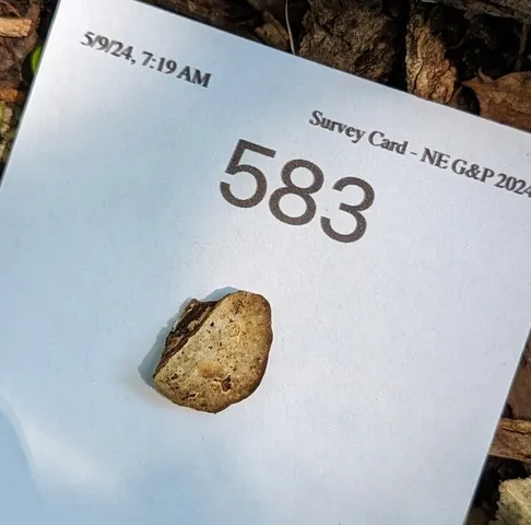 undefined (Perenniporia ohiensis)