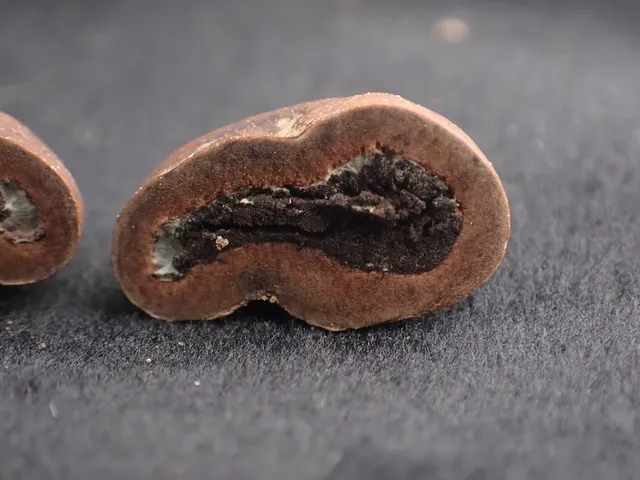 (Elaphomyces)
