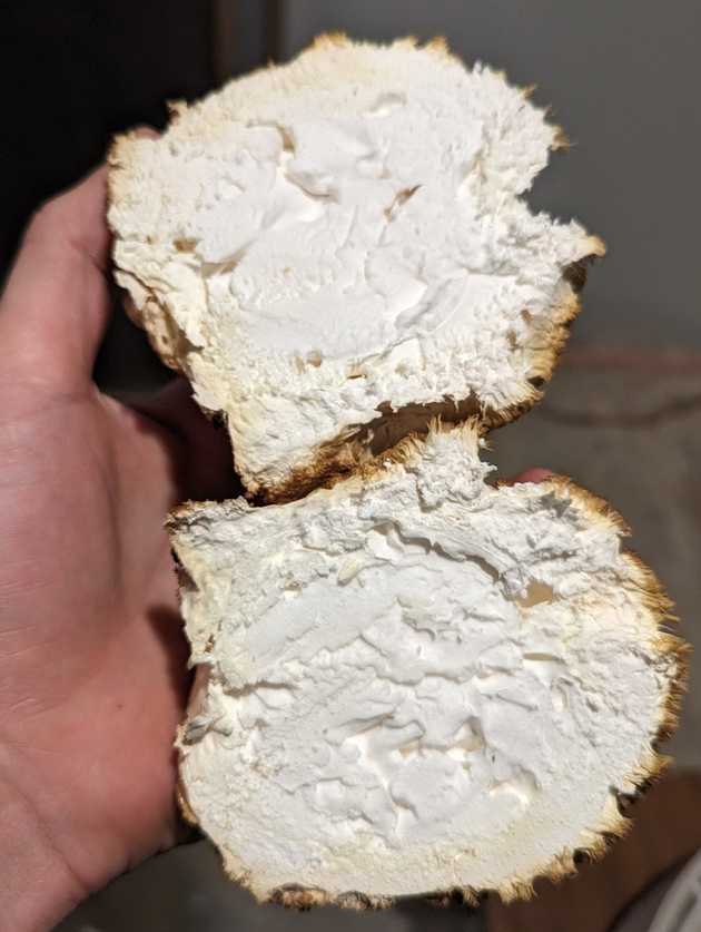 Cross section