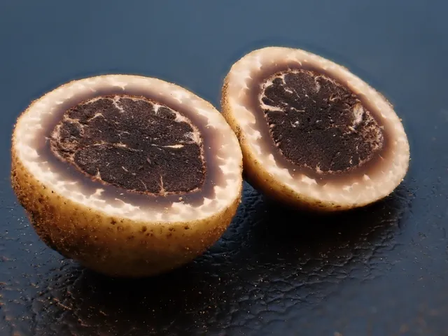 undefined (Elaphomyces spp.)