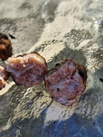 undefined (Tuber cumberlandense)